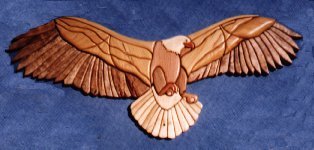 Bald Headed Eagle $180.00